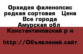 Орхидея фаленопсис редкая сортовая › Цена ­ 800 - Все города  »    . Амурская обл.,Константиновский р-н